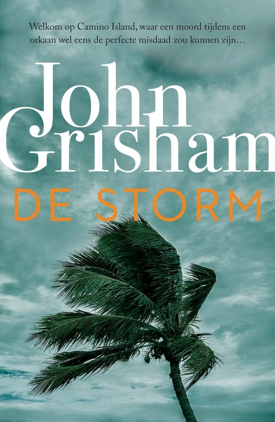 Omslag van De storm